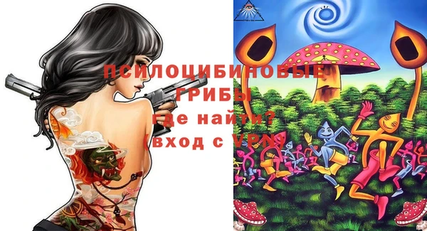 гашик Коряжма