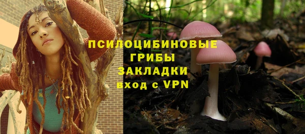марихуана Абаза