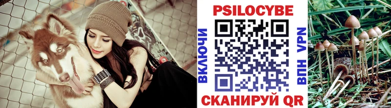 Псилоцибиновые грибы MAGIC MUSHROOMS  купить наркотик  Суздаль 