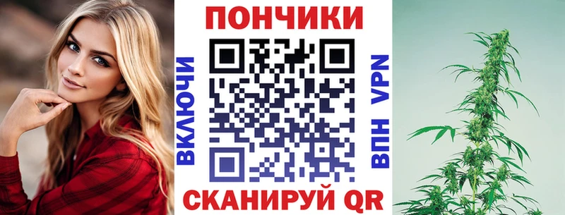 купить закладку  Суздаль  Бошки марихуана план 